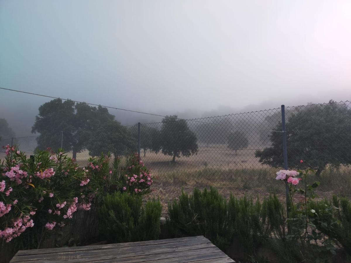 Casa Rural Nacimiento Del Hueznar - Tomillo 17 San Nicolás del Puerto Εξωτερικό φωτογραφία