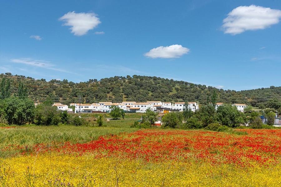 Casa Rural Nacimiento Del Hueznar - Tomillo 17 San Nicolás del Puerto Εξωτερικό φωτογραφία